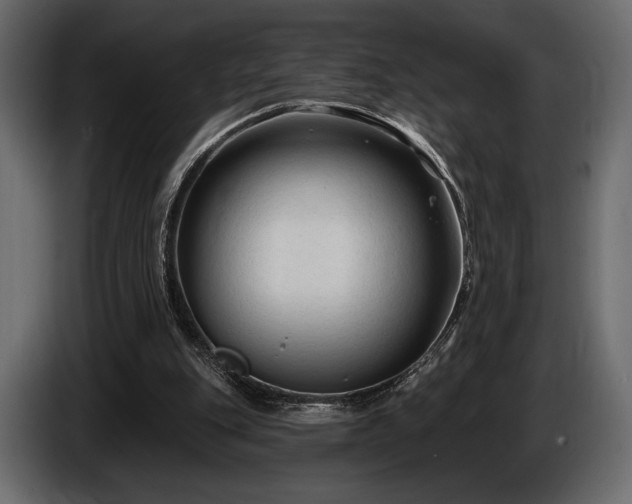 X0000085820151200703231405