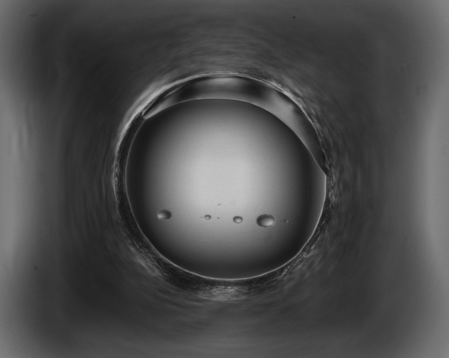 X0000085820152200703231406