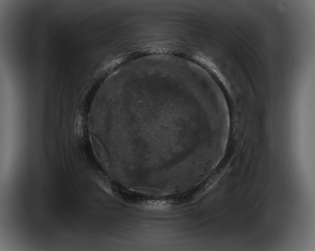 X0000085820161200703231406