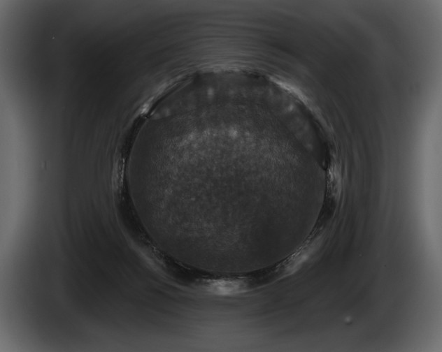 X0000085820168200703231406