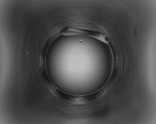 X0000085820173200703231406