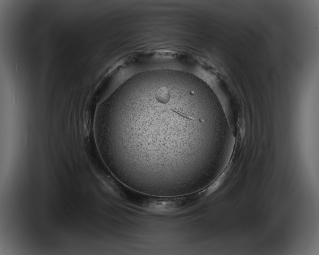 X0000085820174200703231406