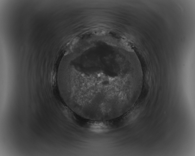 X0000085820177200703231406