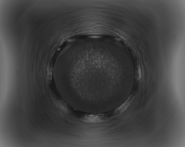 X0000085820180200703231406