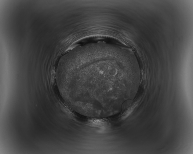 X0000085820189200703231406