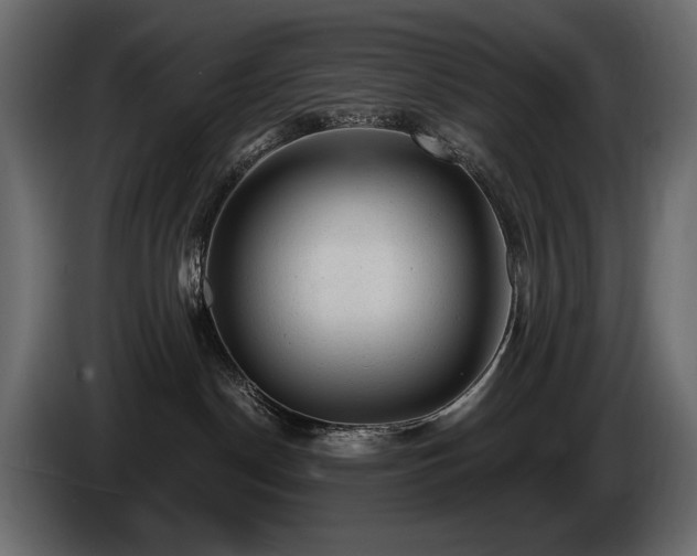 X0000085820190200703231406