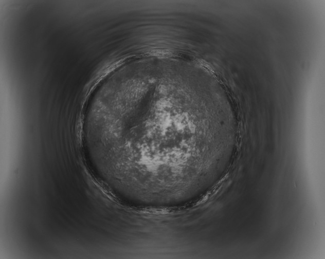 X0000085820194200703231405