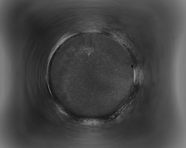 X0000085820195200703231405