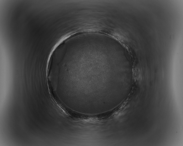X0000085820196200703231405