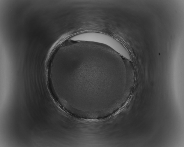 X0000085820197200703231405