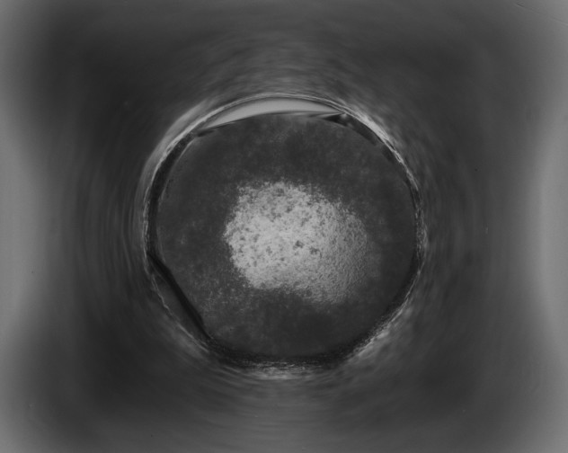 X0000085820199200703231405