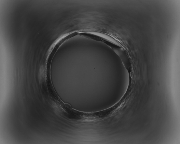 X0000085820200200703231405