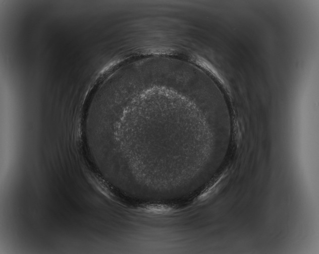 X0000085820203200703231405