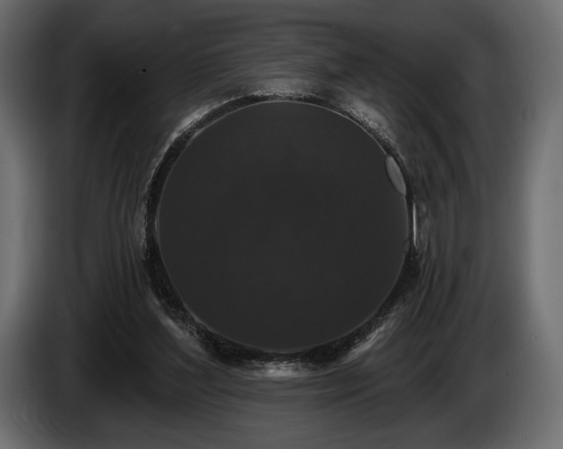 X0000085820204200703231405