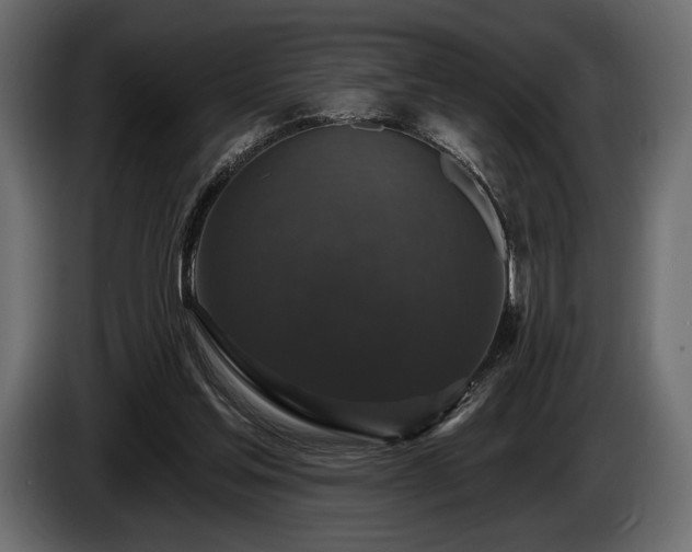 X0000085820205200703231405