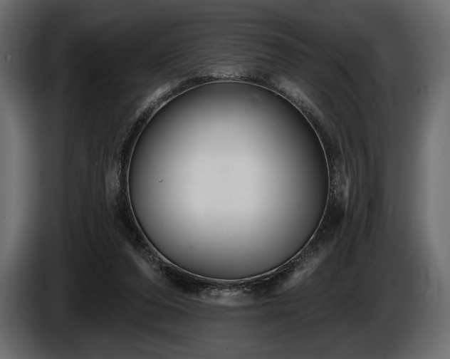 X0000085820208200703231405