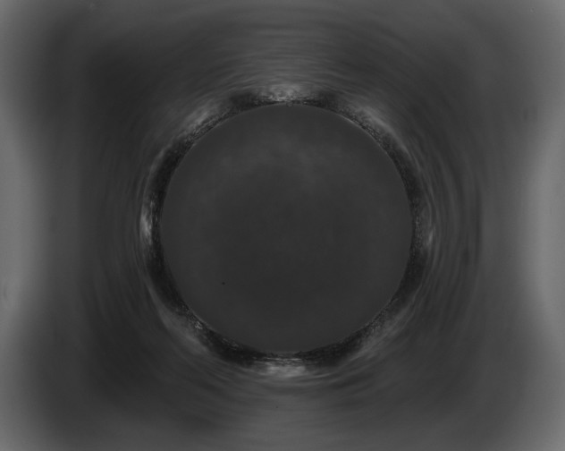 X0000085820214200703231405