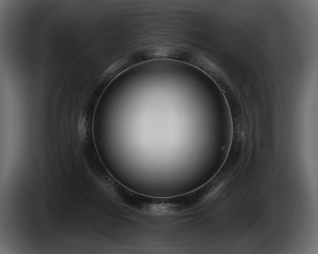 X0000085820216200703231405