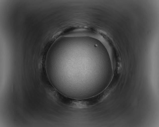 X0000085820221200703231405
