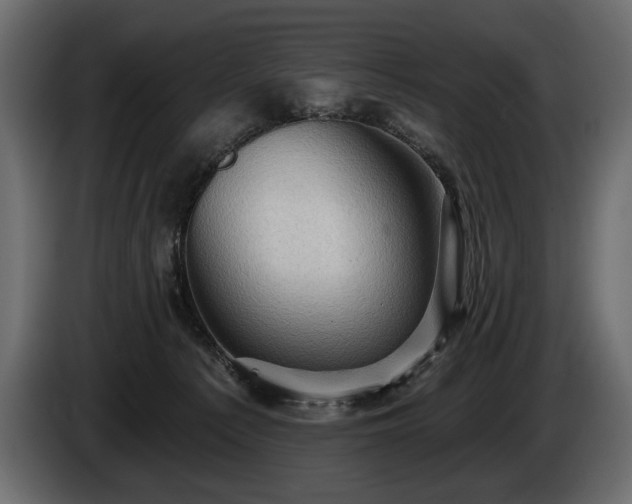 X0000085820225200703231405