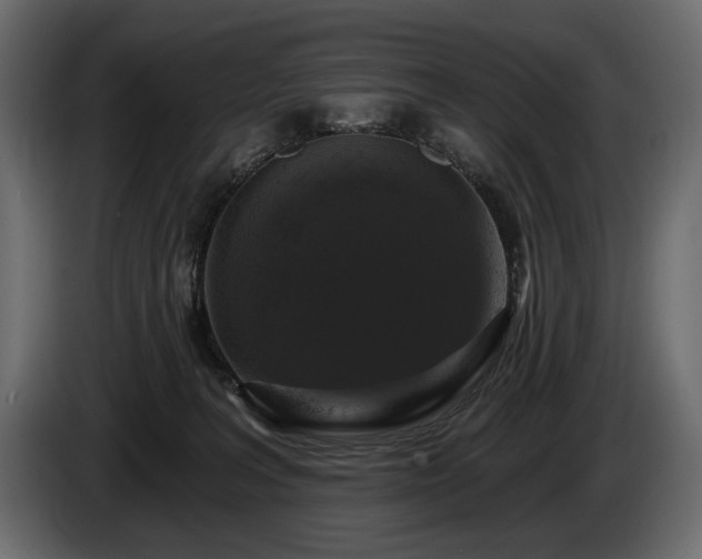 X0000085820227200703231405