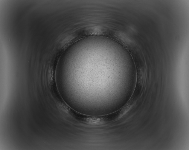 X0000085820230200703231405