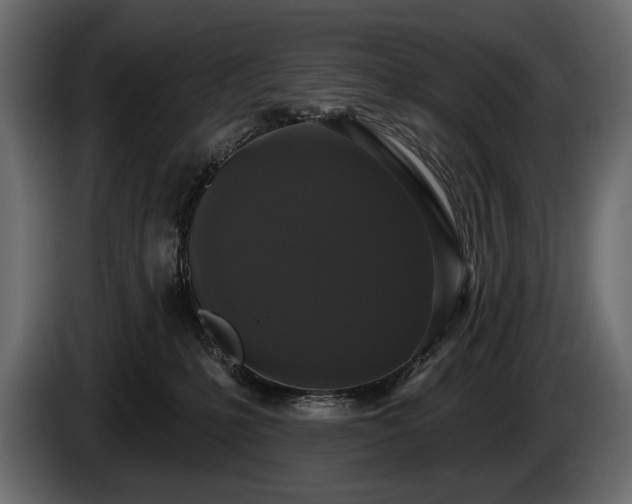 X0000085820231200703231405