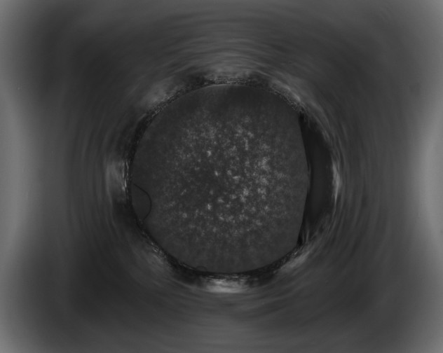 X0000085820232200703231405