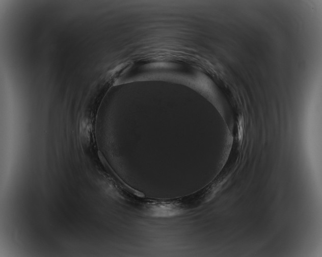 X0000085820235200703231405