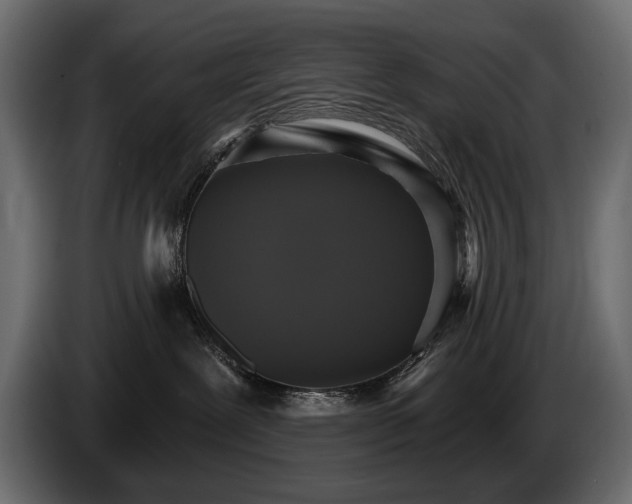 X0000085820239200703231405