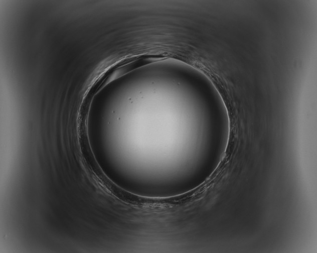 X0000085820242200703231404