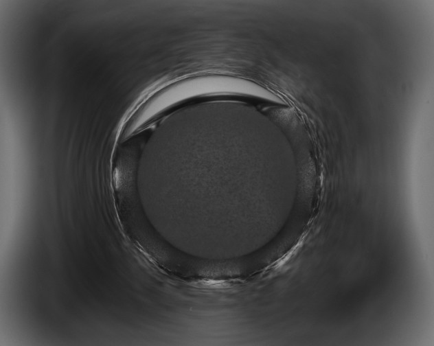 X0000085820244200703231404