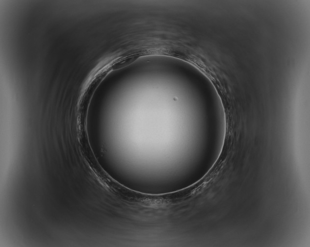 X0000085820245200703231404