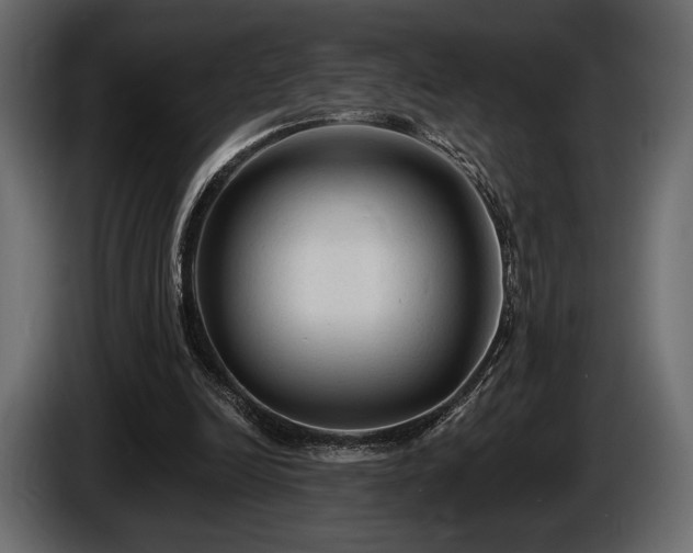 X0000085820246200703231404