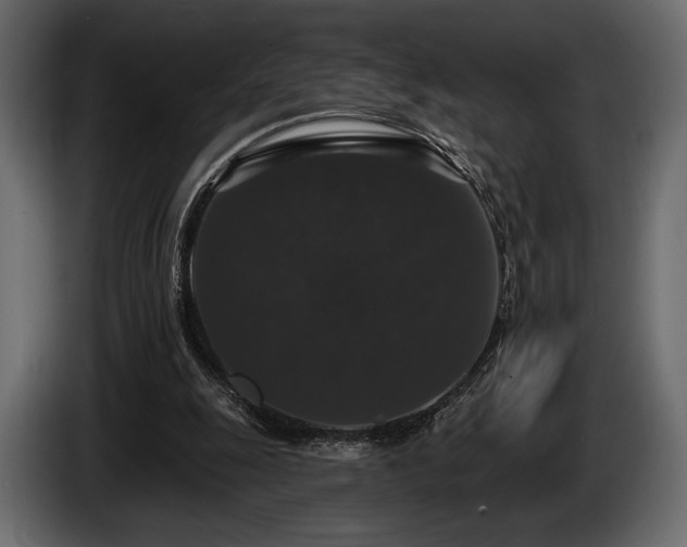 X0000085820247200703231404