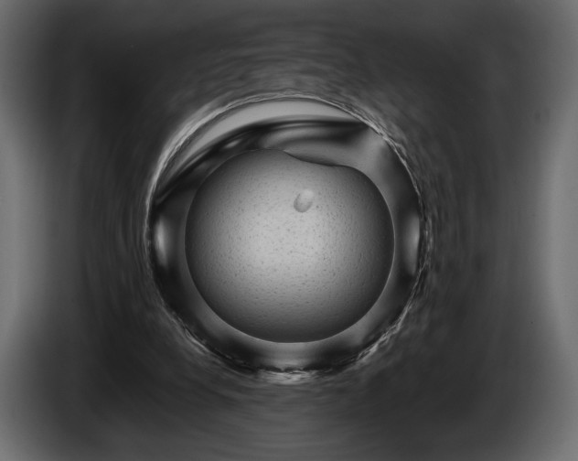 X0000085820248200703231404
