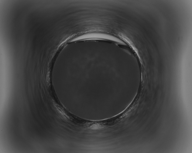 X0000085820249200703231404