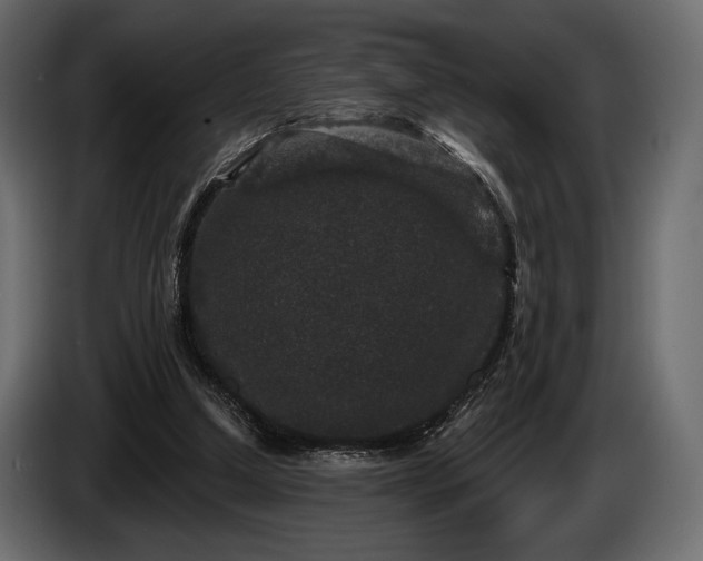 X0000085820250200703231404