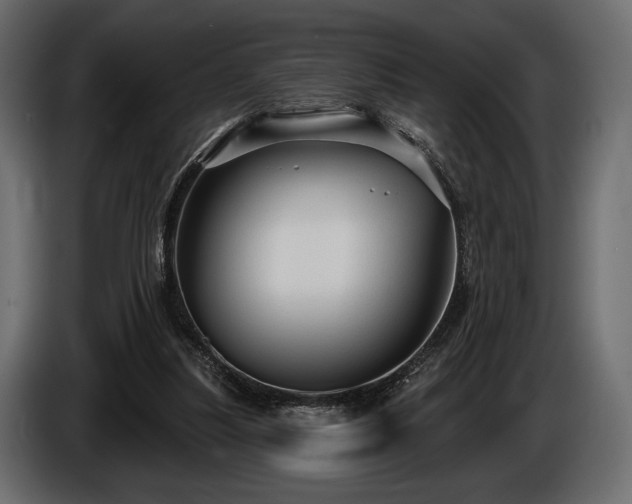 X0000085820251200703231404