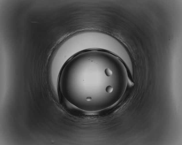 X0000085820252200703231404