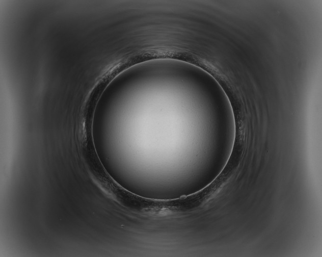 X0000085820254200703231404