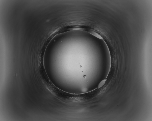 X0000085820255200703231404