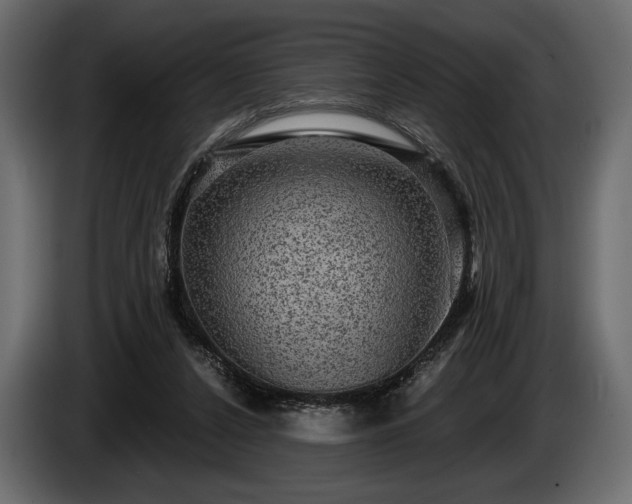 X0000085820256200703231404