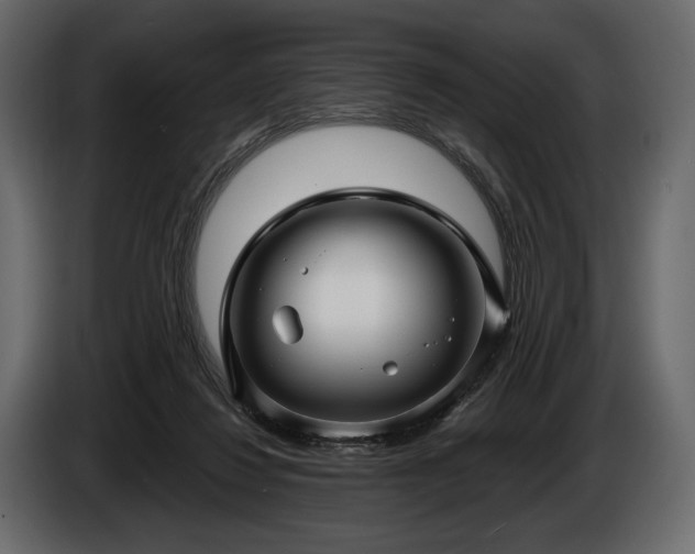 X0000085820260200703231404