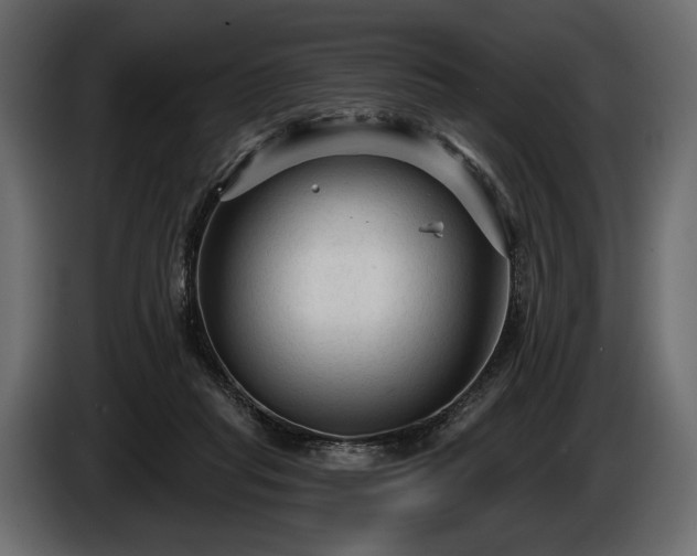 X0000085820261200703231404