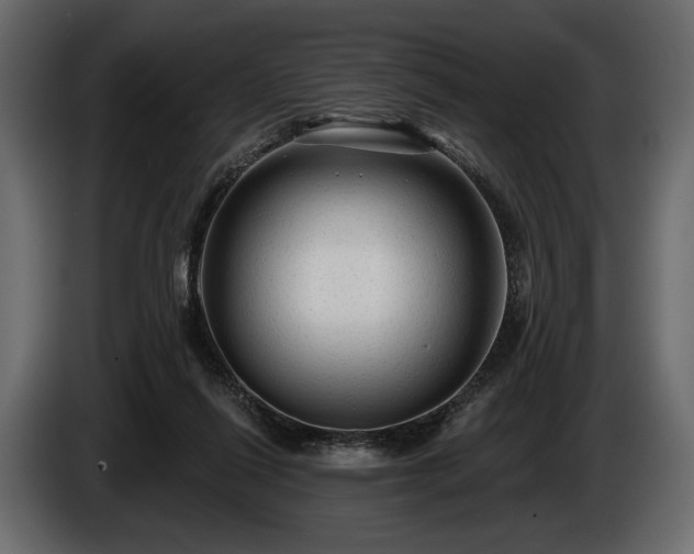 X0000085820262200703231404