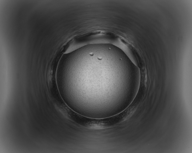 X0000085820263200703231404