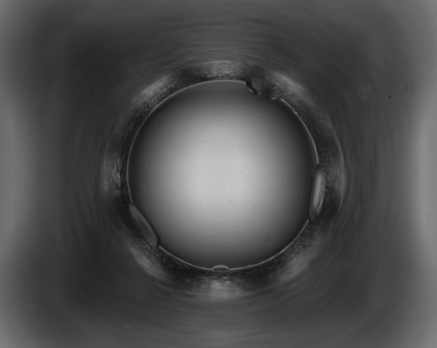 X0000085820264200703231404