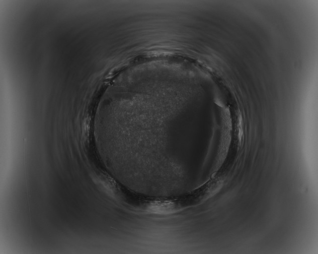 X0000085820271200703231404