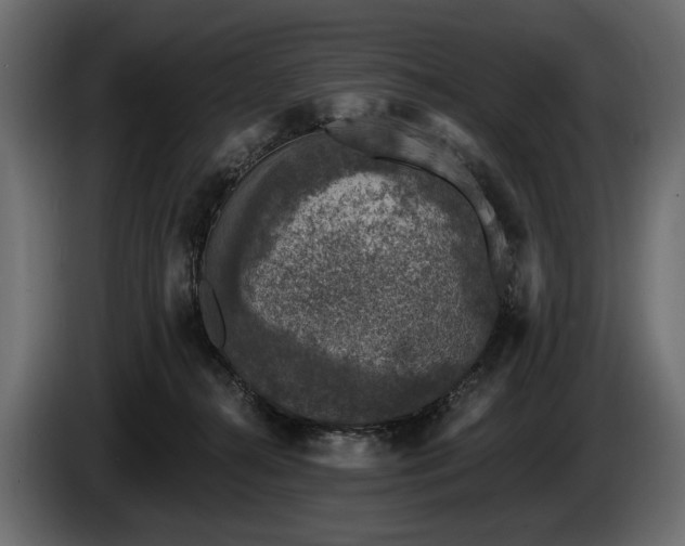 X0000085820272200703231404